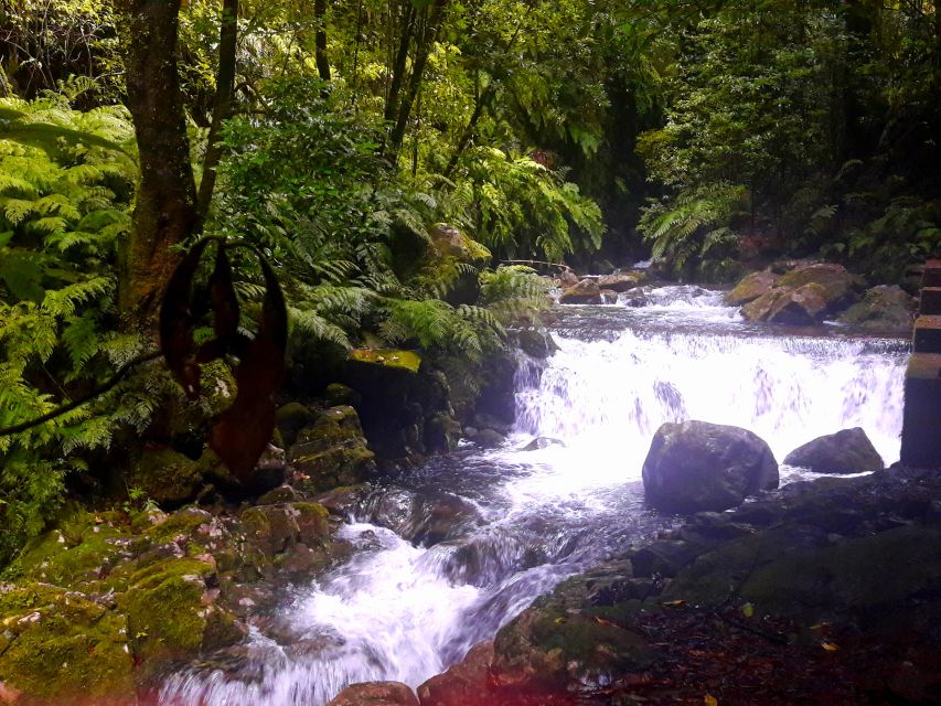 From Funchal: São Jorge Valleys Levada Walk - Price and Value: Is $50 Worth an 8-Hour Nature Day?