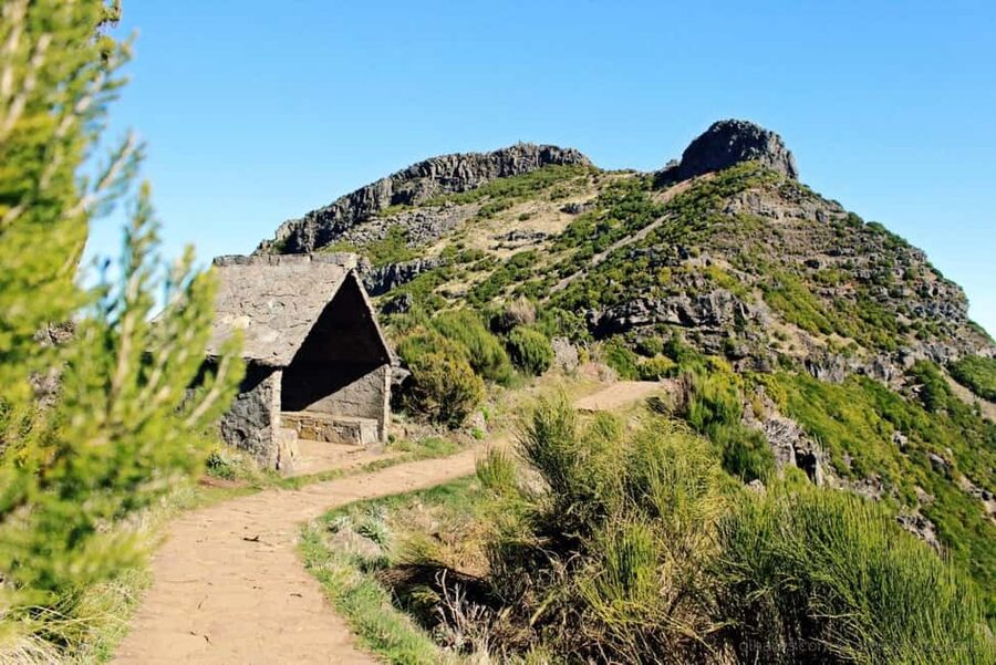 From Funchal: Transfer to Pico do Arieiro & Pico Ruivo Trail - The forest fee you may need to budget for