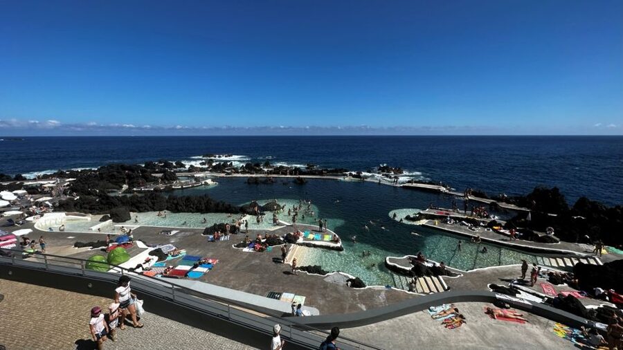 From Funchal:West Madeira Open-roof 4x4 Day Tour with Pickup - Off-Road Forest Tracks: When the Jeep Becomes the Main Event
