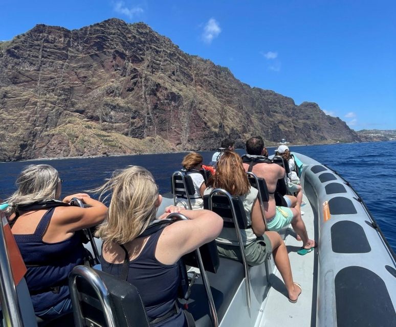 From Funchal: Whale and Dolphin Watching - Before You Go, the Marine Biologist Talks That Make Sightings Click