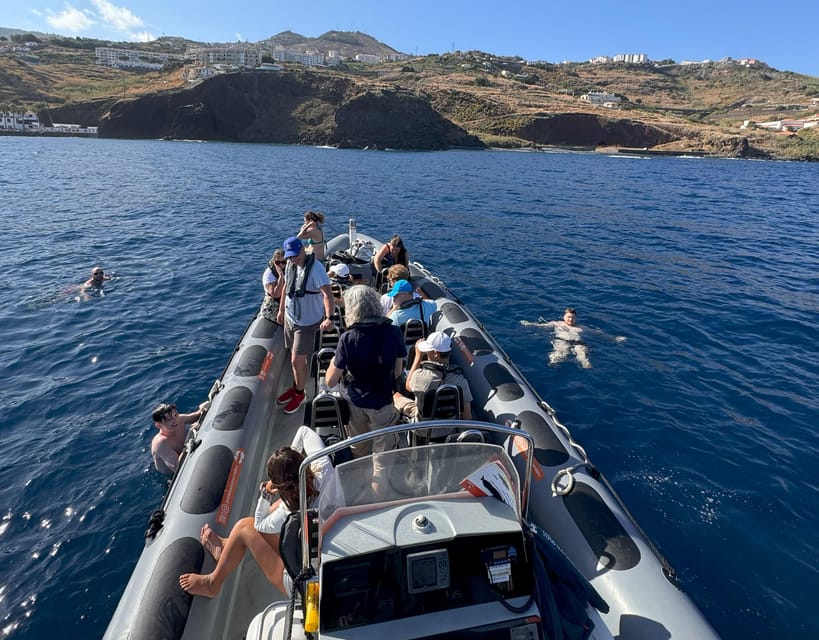 From Funchal: Whale and Dolphin Watching - Swimming With Dolphins Time, Plus the Wet Part You Should Plan For