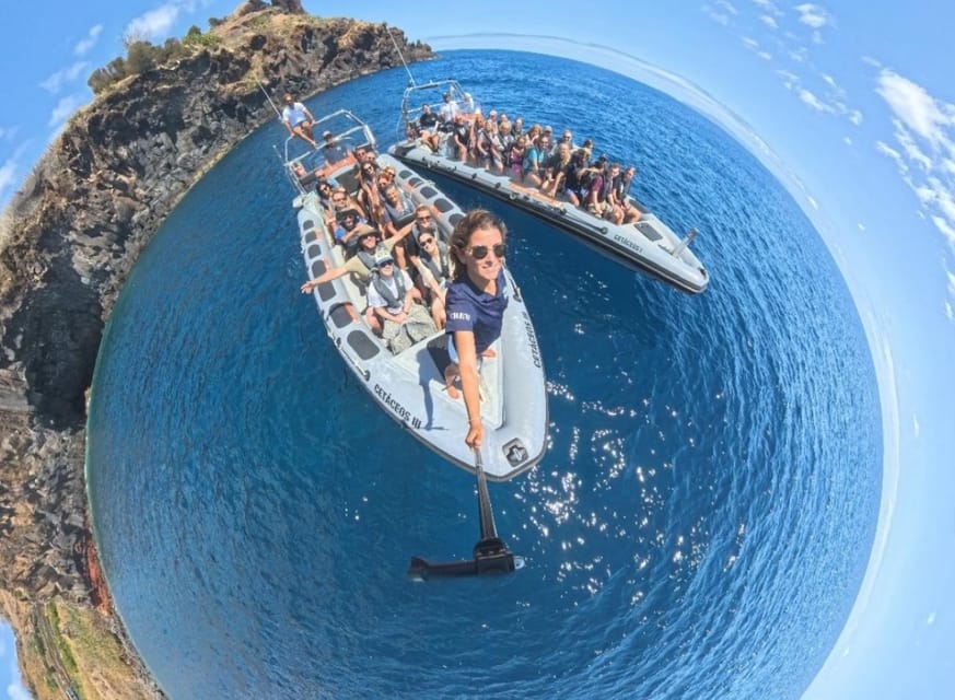 From Funchal: Whale and Dolphin Watching - Getting There Without Stress, Plus What to Pack
