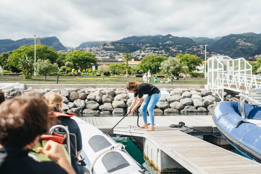 From Funchal: Whales and Dolphin Adventure Tour - Key things to know before you go