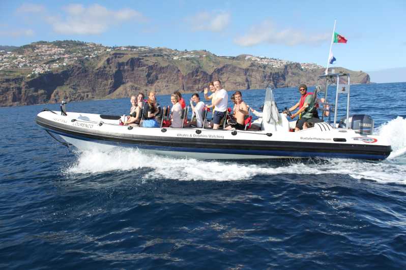 From Funchal: Whales and Dolphin Adventure Tour - Why this speedboat whale and dolphin tour in Funchal feels different