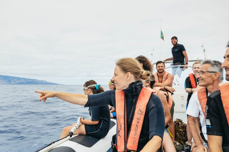 From Funchal: Whales and Dolphin Adventure Tour - Price and value: is $58 for two hours a fair deal?
