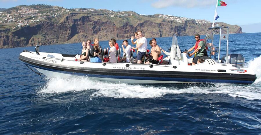From Funchal: Whales and Dolphin Adventure Tour - The 2-hour plan, in plain terms (and what each part means for you)