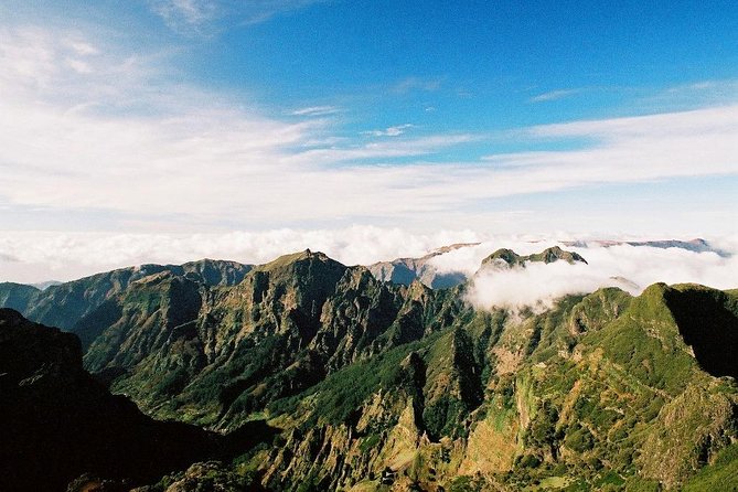 Full Day East Madeira - Pico do Ariero, Ribeiro Frio, Santana - Price and value: when you should pay attention