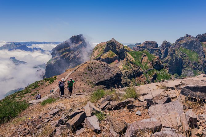Full Day East of Madeira Tour - Ribeiro Frio Balcões: Laurissilva Forest and a Short Levada Walk