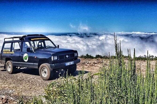 Full Day Jeep Safari East - Pico do Areeiro - Santana - Ponta de são Lourenço - Price and Timing: Is This a Good Value Day?