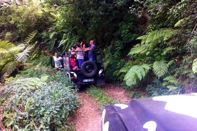Full Day Jeep Safari East - Pico do Areeiro - Santana - Ponta de são Lourenço - Balcões de Ribeiro Frio: The Short Levada Walk with Big Payoff