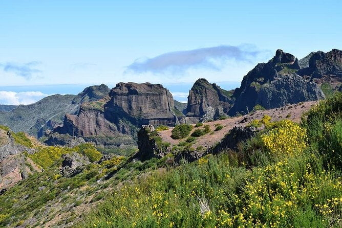 Full Day Jeep Safari East - Pico do Areeiro - Santana - Ponta de são Lourenço - Santana: Thatched Houses, Rural Scenery, and Lunch in the Right Place