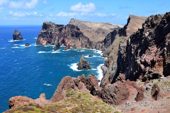 Full Day - Madeira East - Ponta de São Lourenço: native plants and wildlife talk