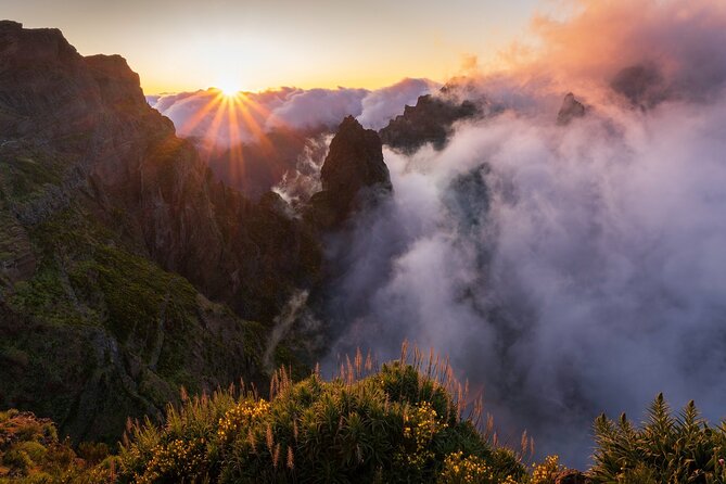Full Day Madeira Island Tour - Open Roof - Ribeira da Janela and Fanal forest, where Madeira changes its mood