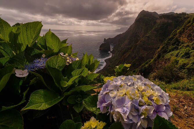 Full Day Madeira Island Tour - Open Roof - How long it really takes, and how the stops keep it from feeling rushed
