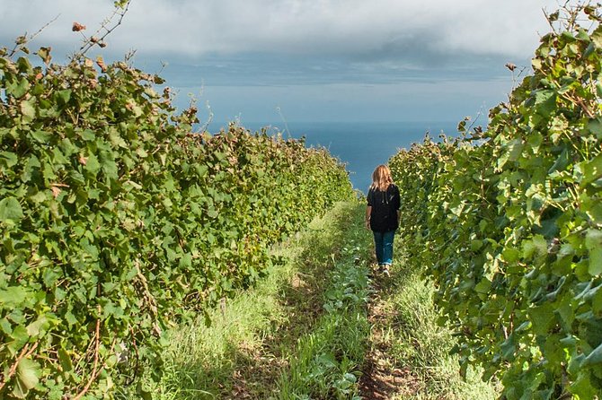 Full-Day Madeira Wine Tasting Tour with Lunch - Getting started in Funchal: a clean pickup and a real meeting point