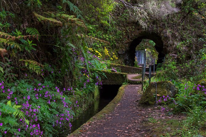 Full Day of Wonders: Madeira 4x4 Private Tour - Black sandy beach and waterfall panoramas: the sea air payoff