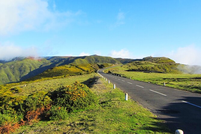 Full-Day Porto Moniz Madeira Island Tour - Paúl da Serra plateau and Fanal’s UNESCO laurel forest