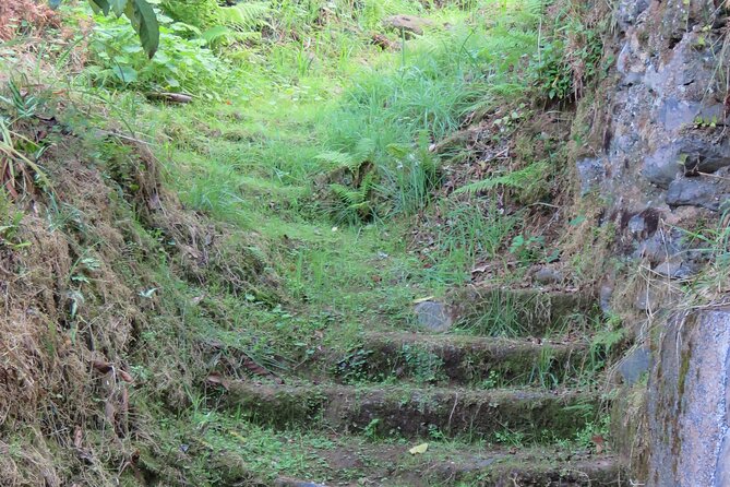 Full Day Private 4x4 Adventure in Madeira - The day’s route in plain terms: coasts first, then heights, then villages