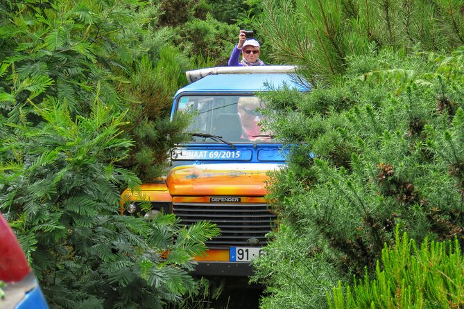 Full Day Private 4x4 Tour in West Madeira with Local Guide - Why a private 4x4 day in west Madeira feels easier