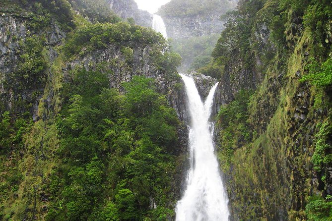 Full-Day Rabaçal Levada Walk from Funchal - Price and What the $52 Includes (and What It Does Not)
