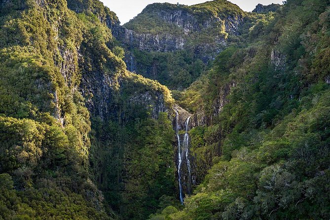 Full-Day Rabaçal Levada Walk from Funchal - Getting There: Morning Pickup and a Smooth Start