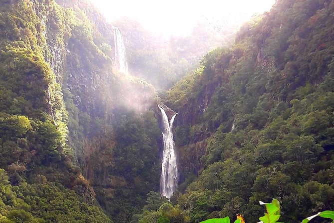 Full-Day Rabaçal Levada Walk from Funchal - The 11 km Levada Descent to the Springs Lake