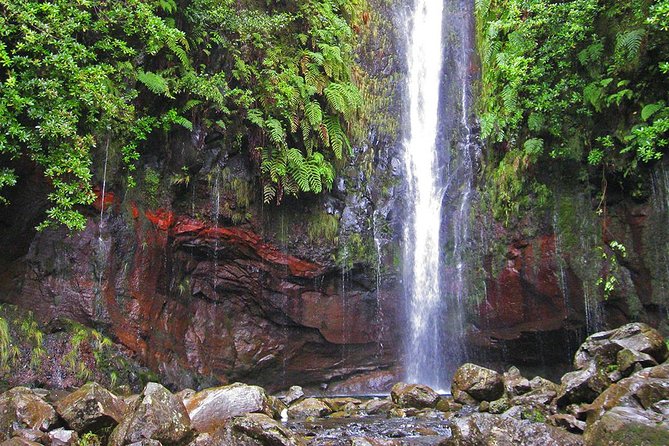Full-Day Rabaçal Levada Walk from Funchal - 25 Fontes and Cascada da Risco: First Big Water Moments