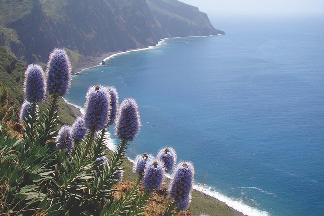 Full Day Tour of the West Zone of Madeira - Stop 1: Porto Moniz Natural Swimming Pools, Swim Time and Photo Time