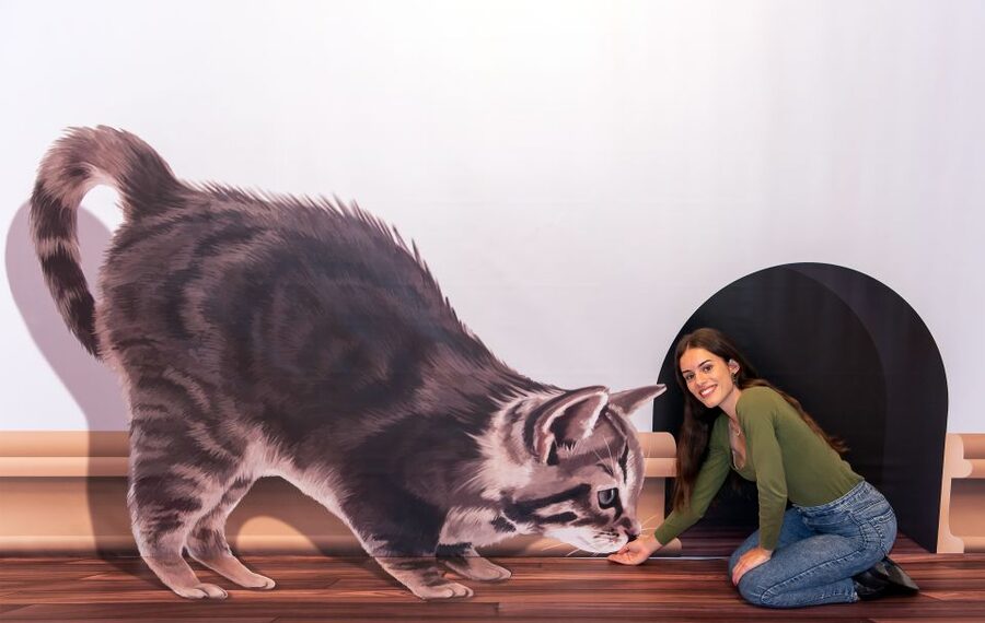 Funchal: 3D Fun Art Museum - Staff help, photo strategy, and how to get better shots fast