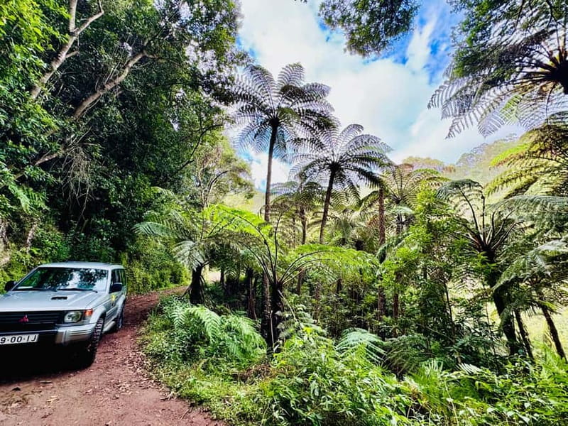 Funchal: 4x4 Jeep Trip to the East and Northeast of Madeira - How a 4x4 day actually helps you see east Madeira