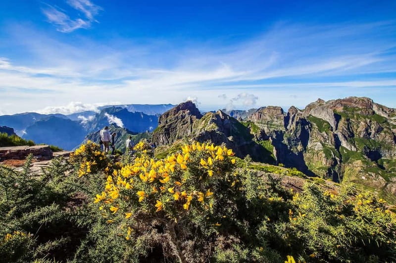 Funchal: 4x4 Jeep Trip to the East and Northeast of Madeira - Nuns Valley and quieter roads that feel less crowded