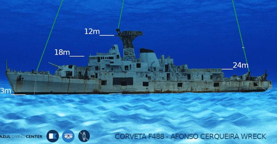 Funchal: Advanced Scuba Diving Afonso Cerqueira Wreck - Marine Life in a Protected Reef: What You’re Really Seeing