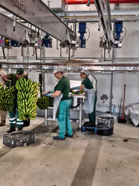 Funchal Agriculture Green Tour - Caminho do Arieiro 97a and the guided segments you should actually notice