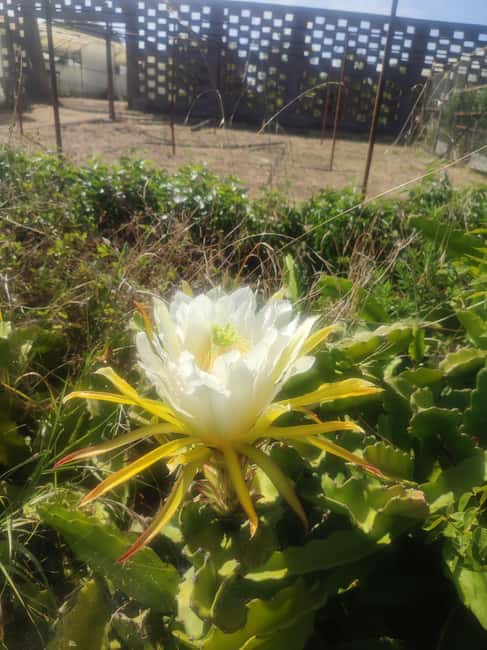 Funchal Agriculture Green Tour - Logistics, timing, and who this tour fits best