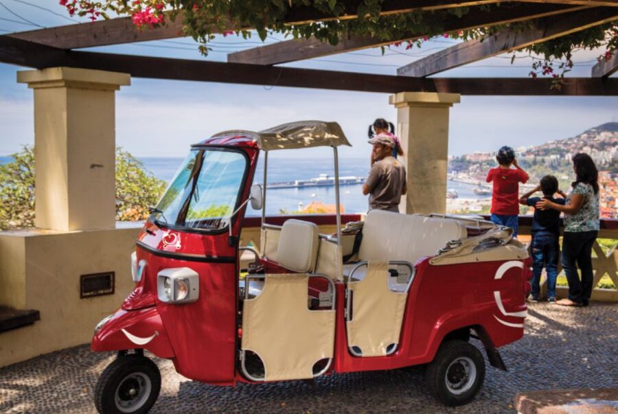 Funchal at Night Private Tour by Tuk Tuk - Key Things You Really Get From This Night Tuk Tuk Tour