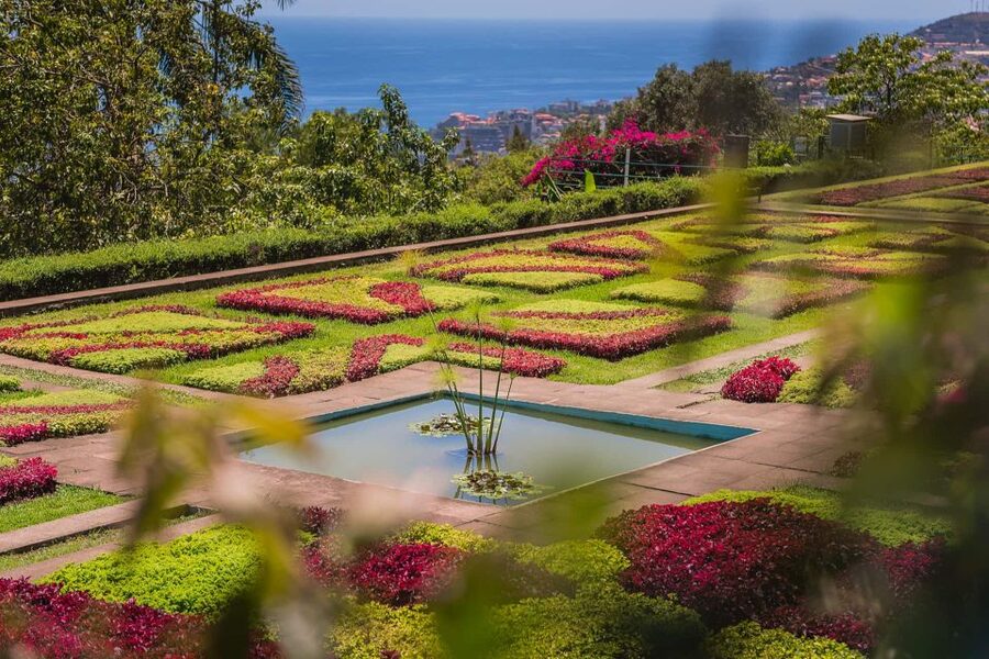 Funchal: Botanical Garden and Old Town Private Tuk-Tuk Tour - Why This Tuk-Tuk Tour Works So Well in Funchal