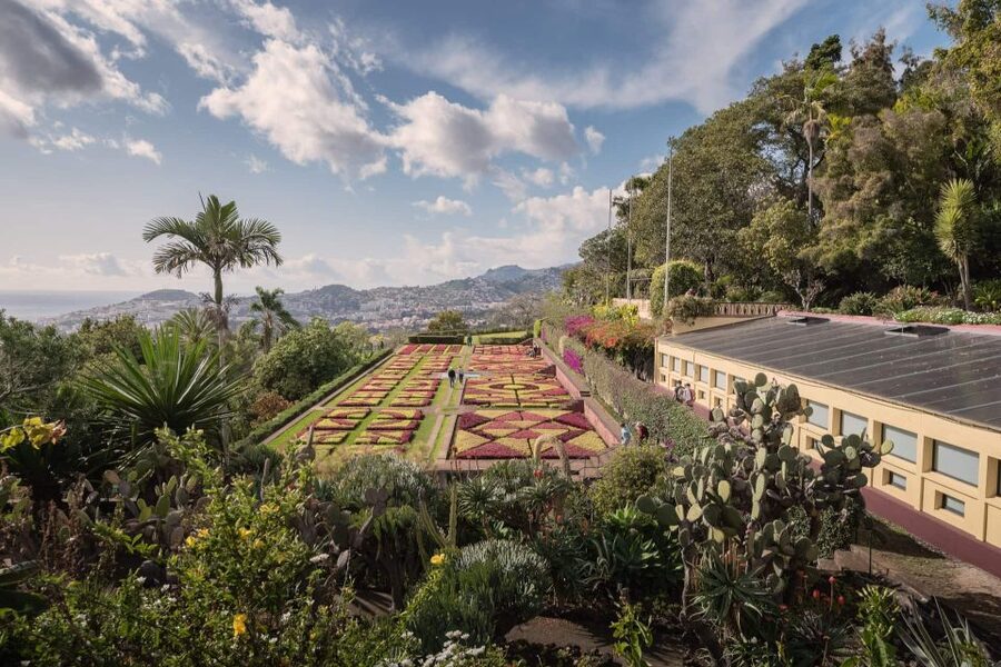 Funchal: Botanical Garden and Old Town Private Tuk-Tuk Tour - Simple Tips to Make Your Day Go Smoother