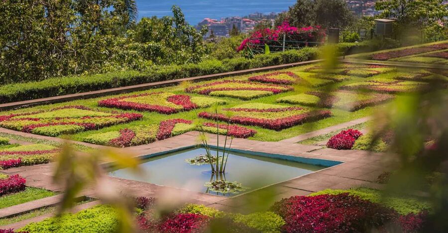 Funchal: Botanical Garden and Old Town Private Tuk-Tuk Tour - The 2-Hour Plan: Old Town First, Botanical Garden After