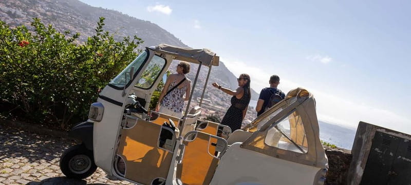 Funchal: Botanical Garden & Old Town Tour by TukTuk (1h45) - Who This Tour Fits Best (and Who Might Skip It)