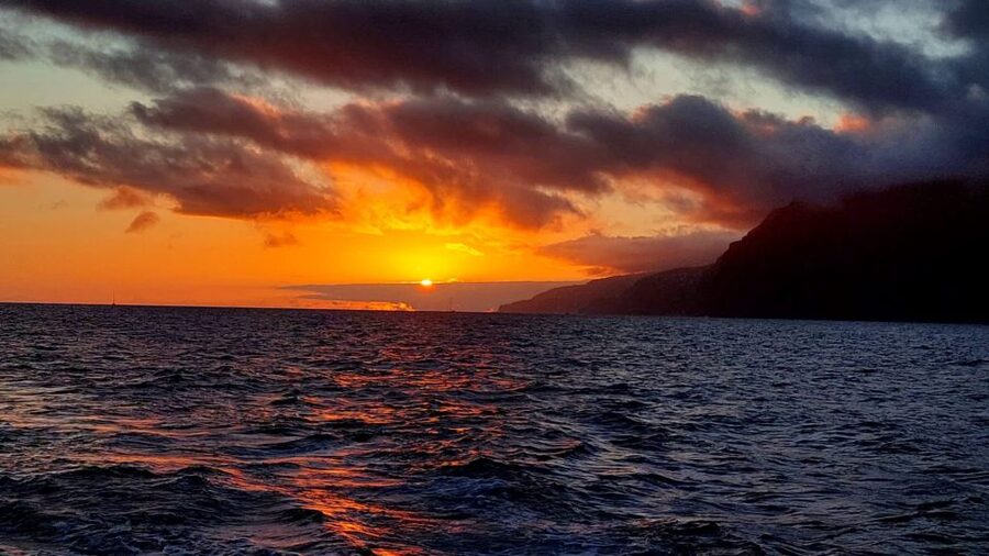 Funchal: Cabo Girão Sunset Catamaran Tour - Wildlife at sea near Madeira: pilot whales and dolphins can show up