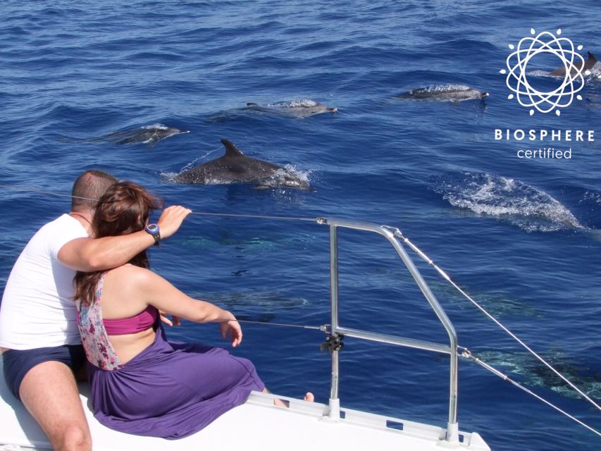 Funchal: Cabo Girão, Wines Tasting and Dolphins Watching - Starting in Funchal: viewpoints first, so the day feels effortless