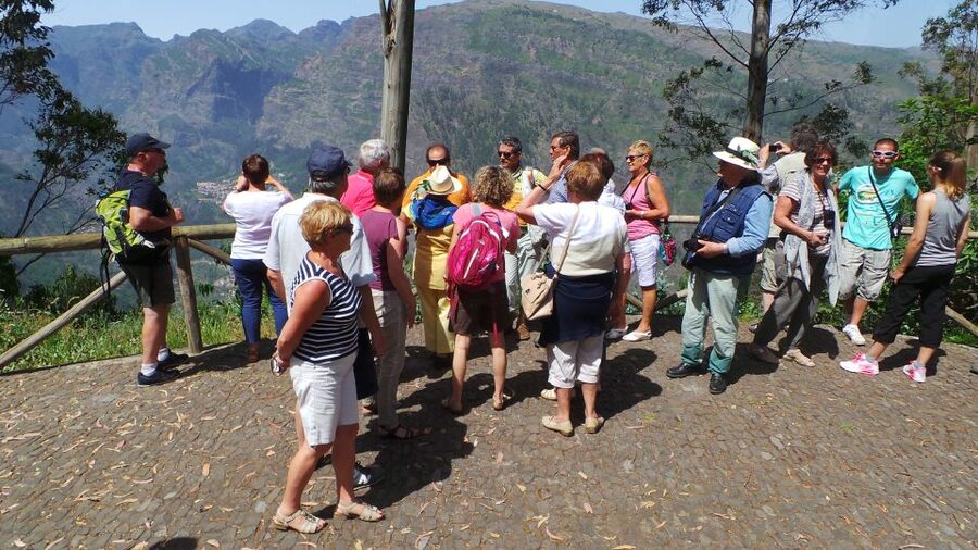 Funchal: Cabo Girão, Wines Tasting and Dolphins Watching - The 3-hour catamaran cruise: dolphins are the goal, comfort is the bonus