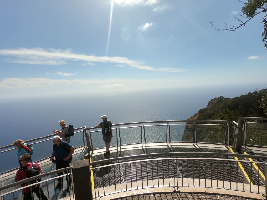 Funchal: Cabo Girão, Wines Tasting and Dolphins Watching - Price and value for an 8-hour mix of land and sea