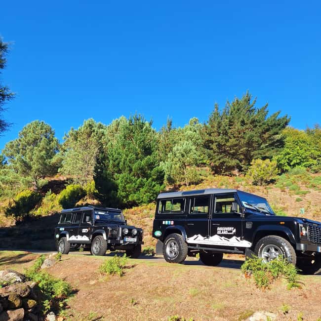 Funchal: Câmara Lobos & Girão Sea Cliff Half-Day Jeep Tour - Why a Funchal jeep tour feels like Madeira on fast-forward
