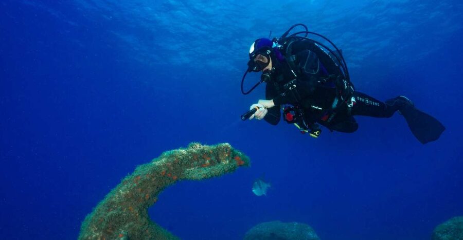 Funchal: Certified Scuba Diving, Guided Tour - The one-hour Atlantic session: what you can expect to see