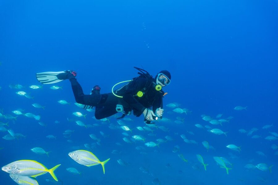 Funchal: Certified Scuba Diving, Guided Tour - Underwater photography setup, from torch rental to good habits
