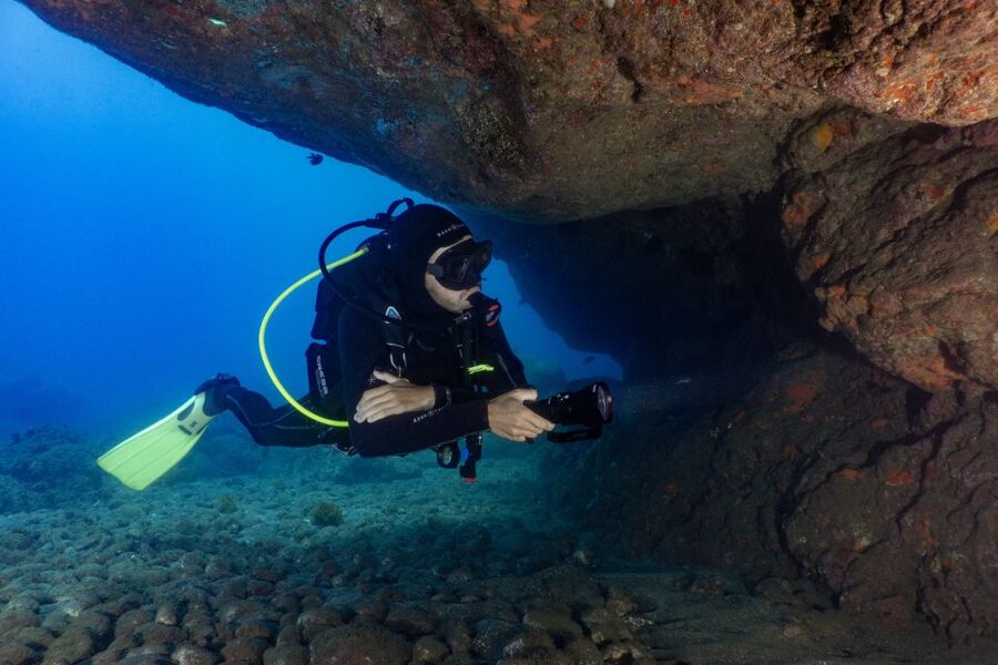 Funchal: Certified Scuba Diving, Guided Tour - Price and value for a guided, certified small-group session