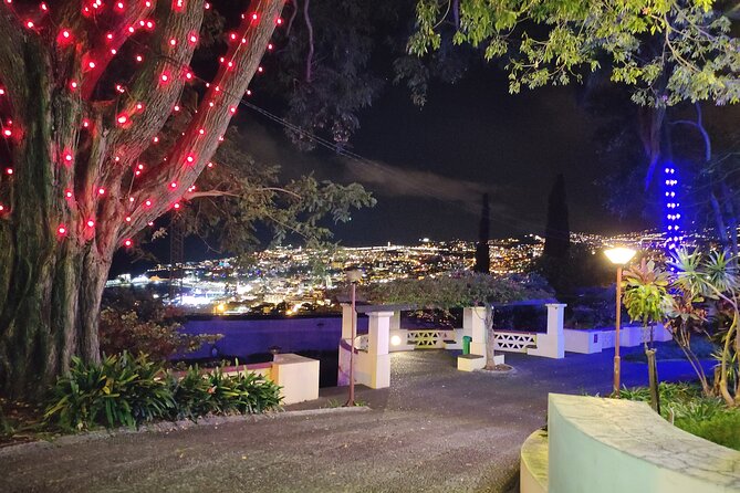 Funchal: Christmas Lights Sightseeing Night Tour - How the $41 Price Works Out for Value in Funchal