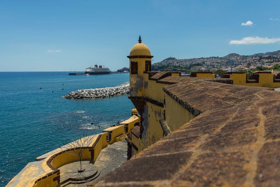 Funchal: City Highlights Tuk-Tuk Tour - Who should book this tour (and who should skip it)