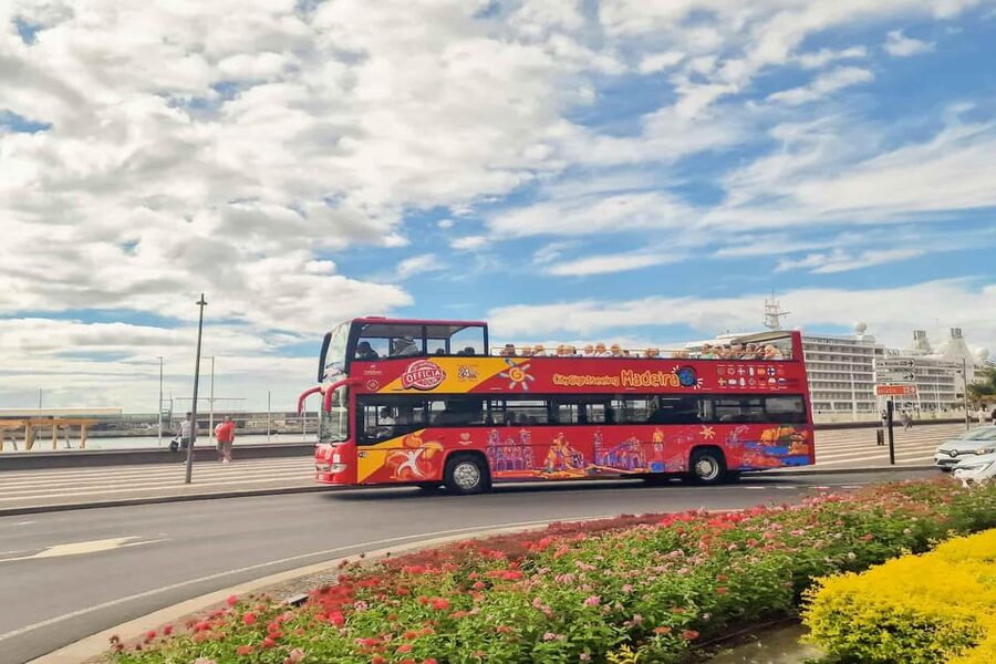 Funchal: City Sightseeing Hop-On Hop-Off Bus Tour - What the Timed Walking Tours Add (and How Not to Miss Them)